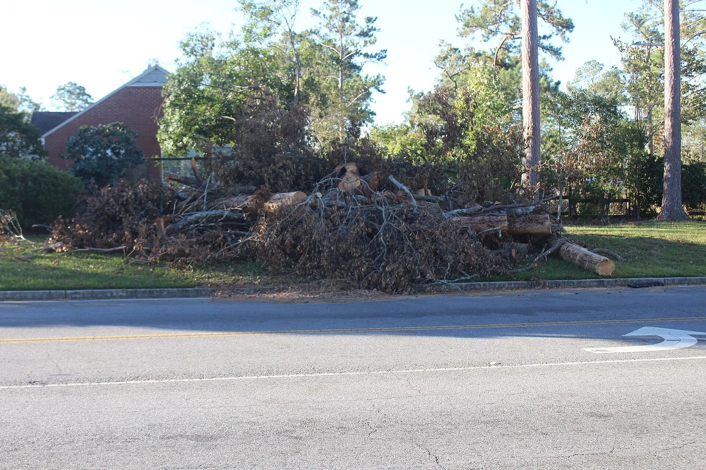Storm debris pile of fallen trees and branches on a residential street